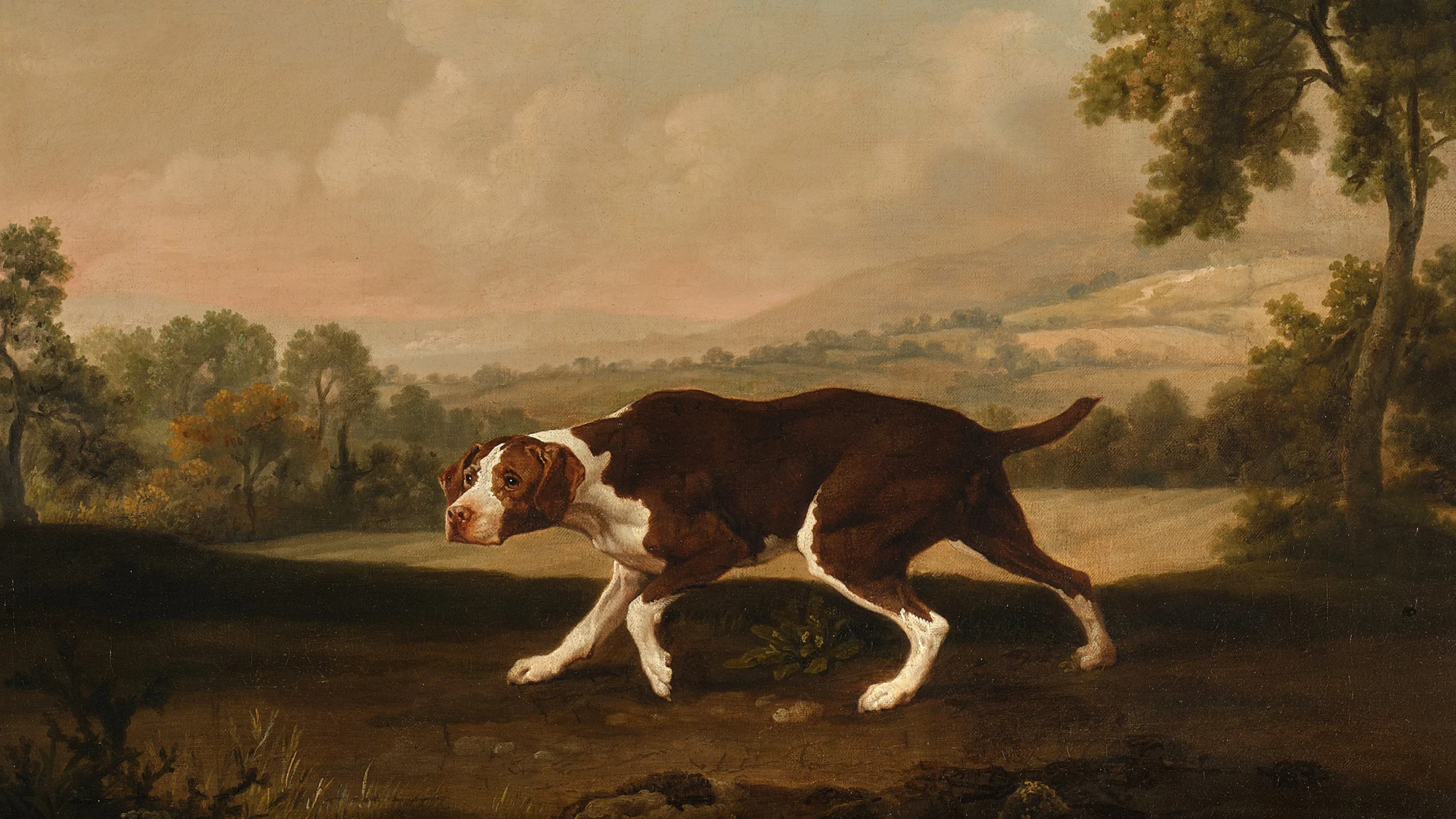 Lukisan Langka Anjing Karya George Stubbs Siap Dilelang hingga Rp40 Miliar